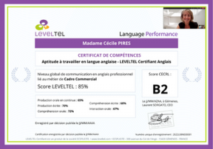 leveltel